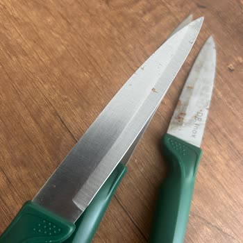 Karaca Bıçak Setinde Kısa Sürede Paslanma Ve Garanti Talebi