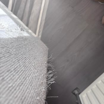 Pati Dostu İddiaları Yanıltıcı, Dayanıklılık Ve Servis Sorunları