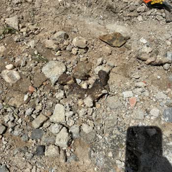 Açık Doğalgaz Çukuru Sokak Hayvanlarının Atık Alanına Dönüştü Hemen Temizlik Ve Kapama Talebi