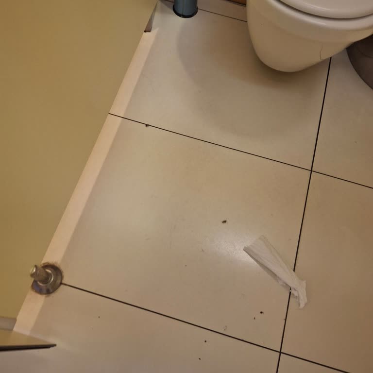 Tepe Nautilus AVM’da Hamam Böcekleri Sorunu Ve Hijyen İhlali