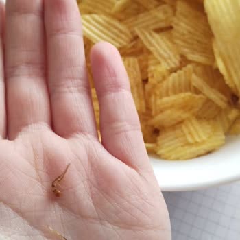 Eskişehir BİM'de Patito Cipsin İçinden Yabancı Cisim Çıktı, Hijyen Kabulu Olmaz