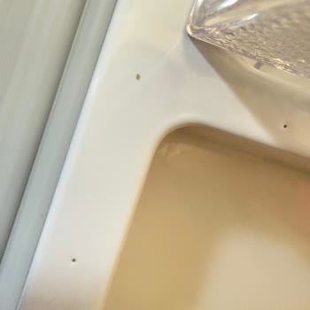 Samsung Bulaşık Makinesi Yıkama Sorunu Ve Buzdolabındaki Koku Ve Delik Şikayetleri