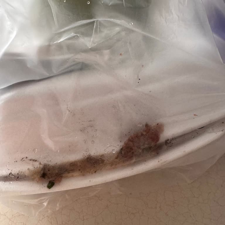 Kıl Bulunan Siparişte İade Reddi Ve Kupon Teklifi