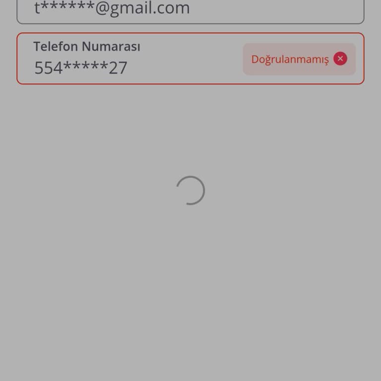 Telefon Doğrulama Sorunu Plus Aboneliği Ve 600 TL Kampanya Haklarını Engelledi