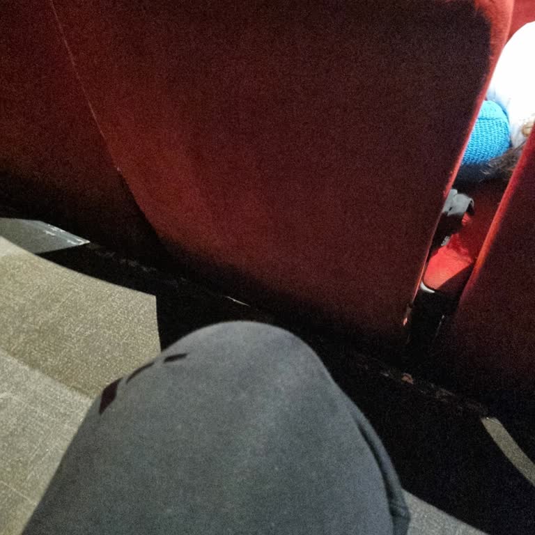 Tuvalet Yakınlığı Ve Eski Koltuklar Nedeniyle 5. Salonda Kötü İzleme Deneyimi