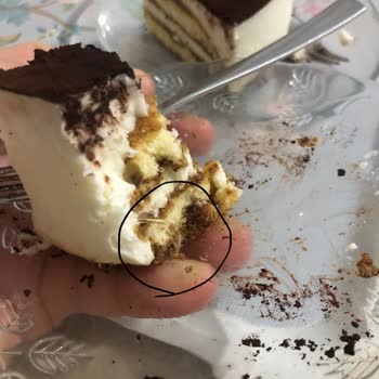 Tiramisu İçinde Kablo Benzeri Yabancı Madde Bulunması Ve Sağlık Endişesi
