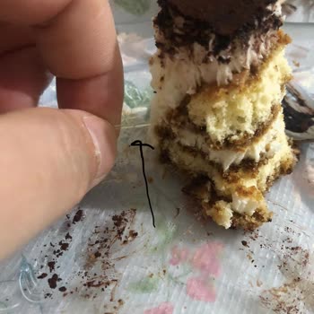 Tiramisu İçinde Kablo Benzeri Yabancı Madde Bulunması Ve Sağlık Endişesi