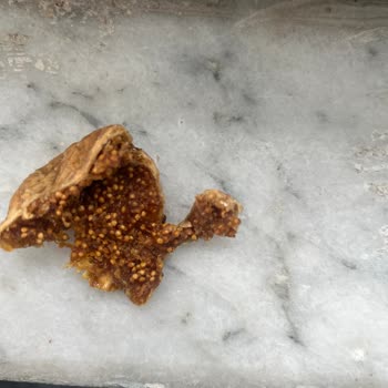 A101 Kuru İncirde Böcek Ve Kurt Tespiti Geri Dönüş Yok Ve İade Talebi