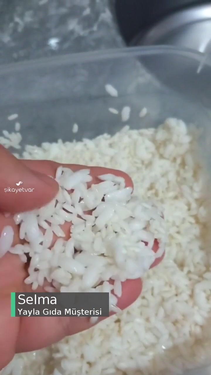 Yayla Baldo Pirinç Lapa Oluyor! videonun kapak resmi