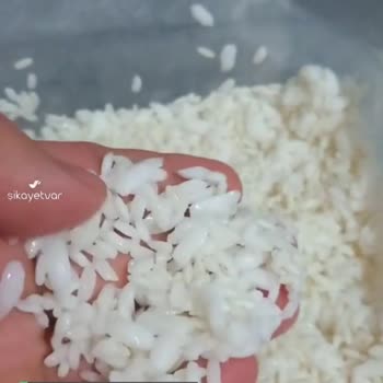 Yayla Baldo Pirinç Lapa Oluyor!