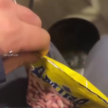 Gold Harvest Kuruyemiş Kötü Kalite!