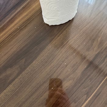 Kalitesiz Kağıt Havlu Rulolarında Uç Hasarı Ve Yoğun Toz Sorunu