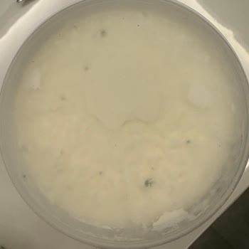 Tarım Kredi Koop Market'ten Koyun Yoğurdu Açılmadan Küflenerek Sağlık Tehdidi Ve Maddi Kayıp