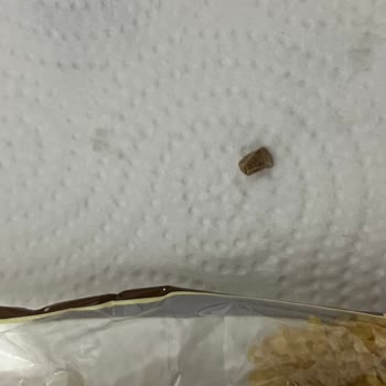 Duru Markalı Bulgurda Taş Çıktı, Diş Ağrısı Ve Hasar Oluştu