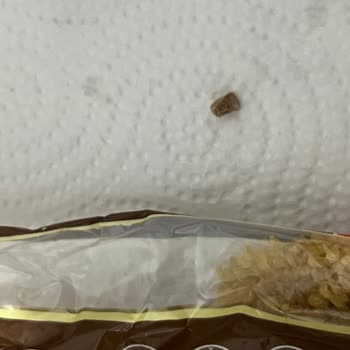 Duru Markalı Bulgurda Taş Çıktı, Diş Ağrısı Ve Hasar Oluştu