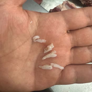 Türkay Plastik Polietilen Et Kesim Tahtaları