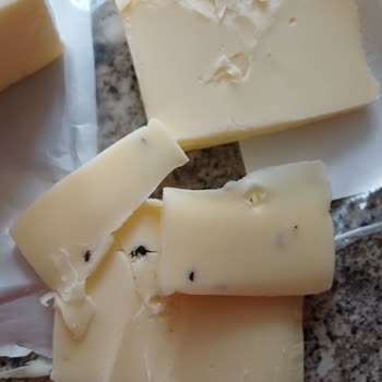 Kaanlar Kaşarda Plastik Parça Tespiti