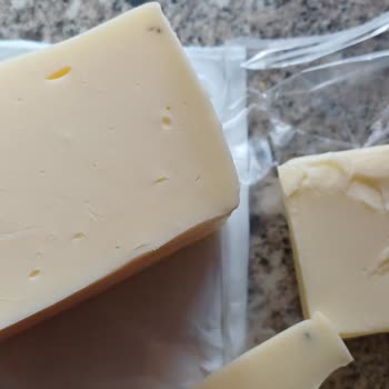 Kaanlar Kaşarda Plastik Parça Tespiti