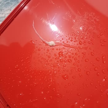 Algida Keyf Dondurmasında Yabancı Cisim Sağlık Riskine Dönüştü