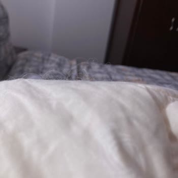 Yorganın Kıl Ve Tüy Birikmesi Nedeniyle İade Talebi Ve Kaba Müşteri Hizmetleri