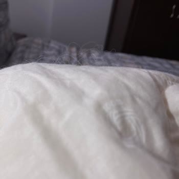 Yorganın Kıl Ve Tüy Birikmesi Nedeniyle İade Talebi Ve Kaba Müşteri Hizmetleri