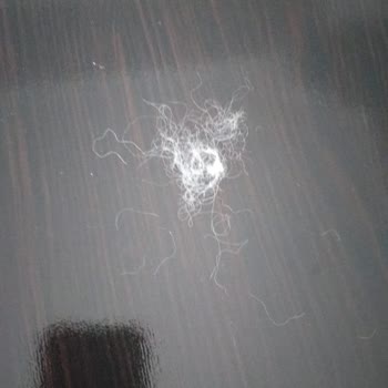 Yorganın Kıl Ve Tüy Birikmesi Nedeniyle İade Talebi Ve Kaba Müşteri Hizmetleri