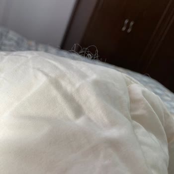 Yorganın Kıl Ve Tüy Birikmesi Nedeniyle İade Talebi Ve Kaba Müşteri Hizmetleri