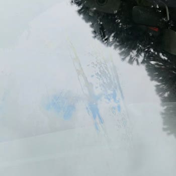 Yeni Camda Görülen Vantuz Lekeleri Ve Servis Reddi Nedeniyle Ücretsiz Cam Değişimi Talebi