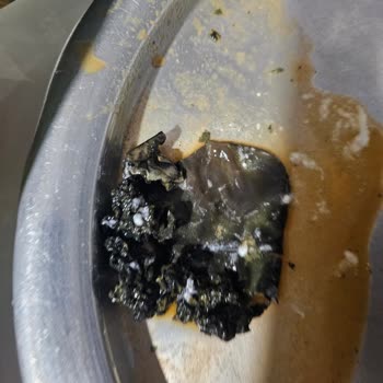 Cappy Atom Şişesinde Yabancı Cisim Tespiti Sağlık Endişesi Yarattı