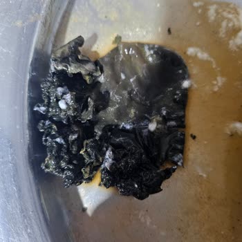 Cappy Atom Şişesinde Yabancı Cisim Tespiti Sağlık Endişesi Yarattı