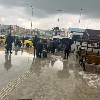 Uçuş İptali, Uzun Gecikme Ve Kaba Hizmet Şikayeti