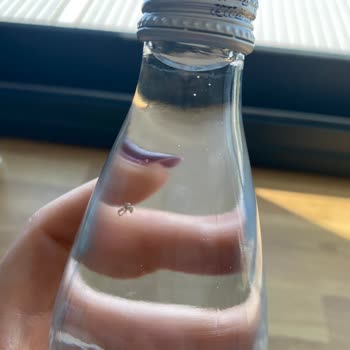 Mila Su Cam Şişelerinde Yabancı Parçacıklar Tespit Edildi, Hızlı İade Ve Açıklama Talebi