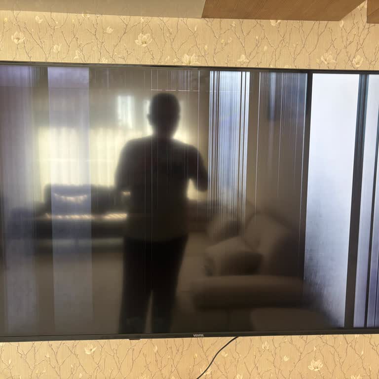 Vestel TV'de Servis Taşıma Sonrası Ekran Çizgileri Ve Değişim Talebi