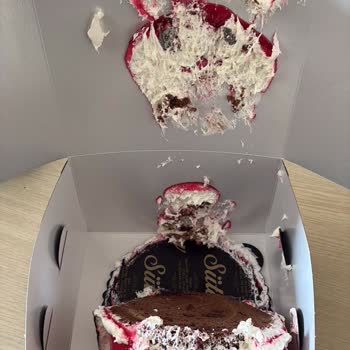 Uğur Böceği Şeklindeki Pastanın Görünümünün Bozulması Ve İade Sürecindeki İletişimsizlik