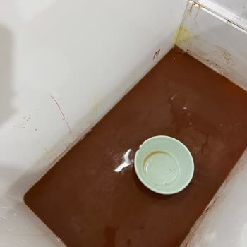 Arızalı Derin Dondurucu Ve Saygısız Müşteri Temsilcisi