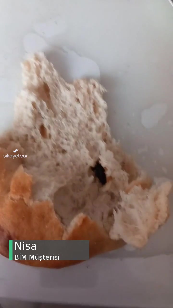 BİM'den Aldığımız Tandır Ekmeğinde Dışkı videonun kapak resmi