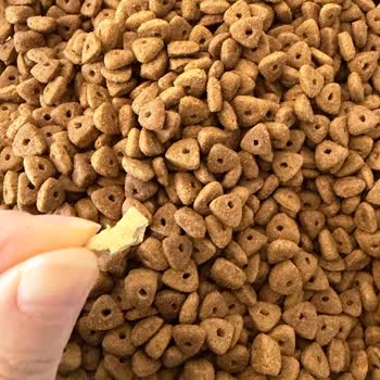 Kedi Mamasında Plastik Parça Bulunması