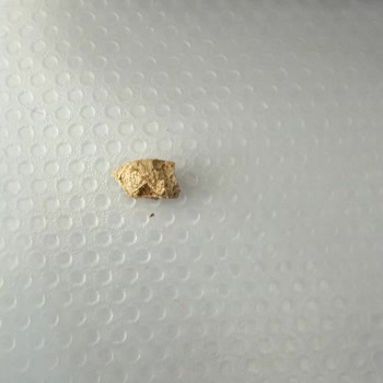 Kedi Mamasında Plastik Parça Bulunması