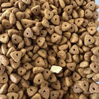 Kedi Mamasında Plastik Parça Bulunması