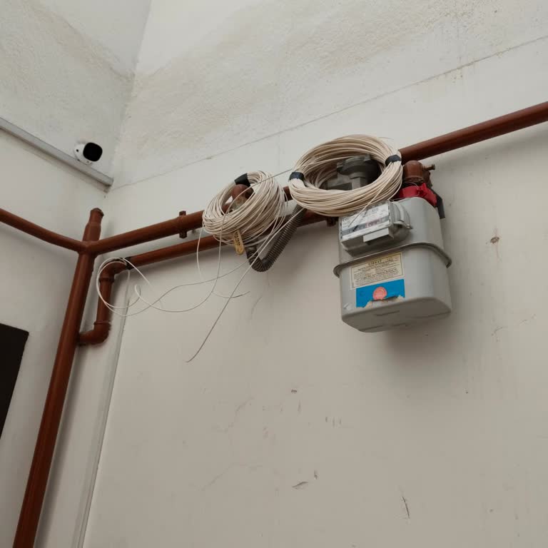 İnternet Nakil Randevularının Hiç Gelmemesi Ve Sözleşme İptali Talebi