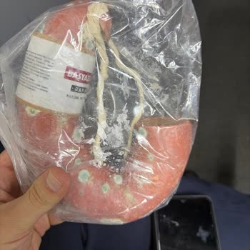 Küflü Sucuk Ve Umursamaz Market Müdürü