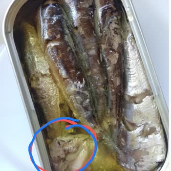 Migros Hemen'den Bozuk Sardalya Ürünü İçin Sağlık Endişesi Ve İade Talebi