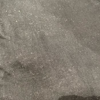 Mavi Pantolonlardaki Tüylenme Ve Esneme: Kullanıcı Hatası İddiası Kabul Edilemez