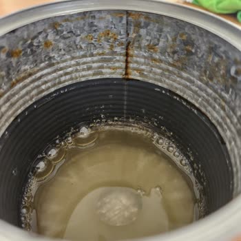 Aro Ananas Konservesi Pas Ve Boyanmış İçerik, Tarihsiz Ve Sağlık Riski