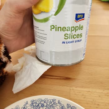 Aro Ananas Konservesi Pas Ve Boyanmış İçerik, Tarihsiz Ve Sağlık Riski