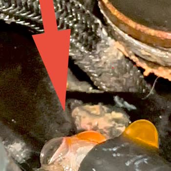 Volkswagen Yetkili Serviste Hatalı Teşhis, 30 Bin TL Maliyet