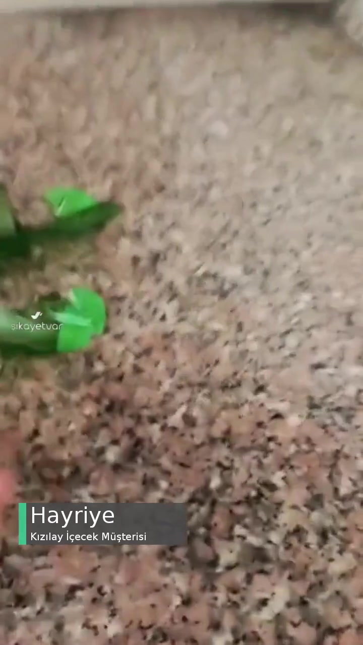 Kızılay Soda Açılmadan Patladı, Elimi Kesti, Ciddi Yaralanma Oldu! videonun kapak resmi
