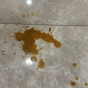 Köpeğimde Şiddetli İshal, Veteriner Masrafı Ve Anahtarım Geri Getirilmedi