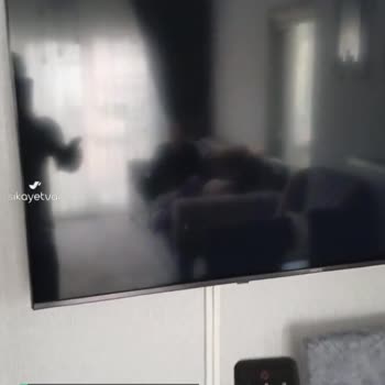 Vestel TV Arıza Tekrarı