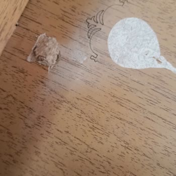 Tesbih Dolabım Kırık Geldi, DHL Kargo’ya Tazminat Talebi